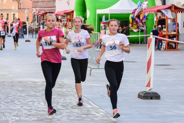 Tek za Kranj 2017